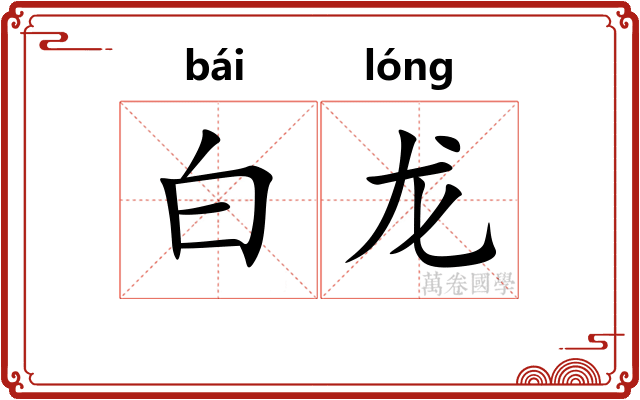 白龙 白龙