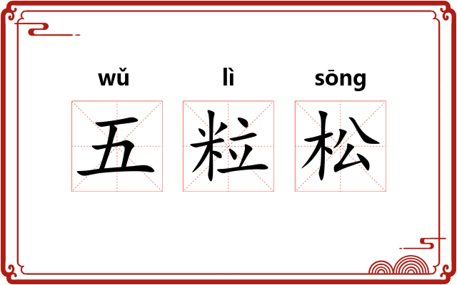 五粒松