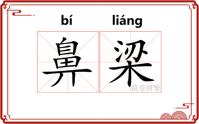 鼻梁 鼻梁