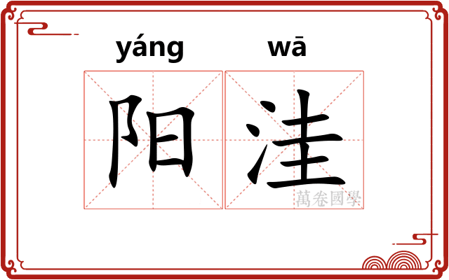 阳洼