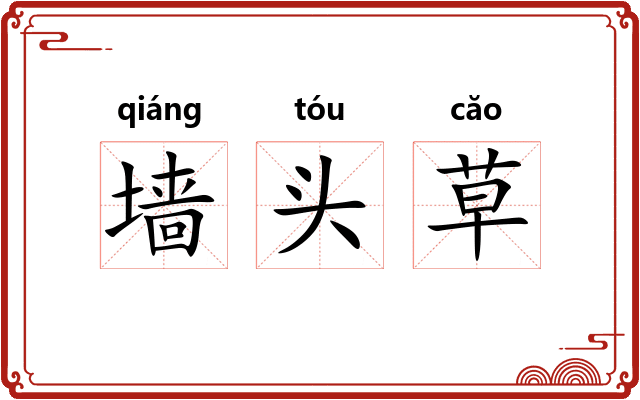 墙头草 墙头草
