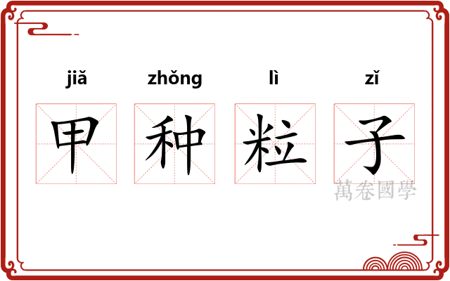 甲种粒子 甲种粒子