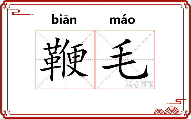 鞭毛