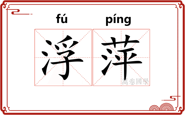 浮萍 浮萍