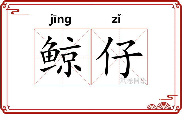 鲸仔