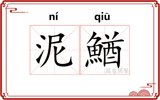 泥鰌