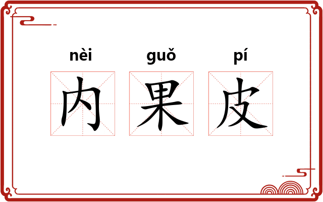 内果皮