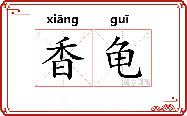 香龟 香龟