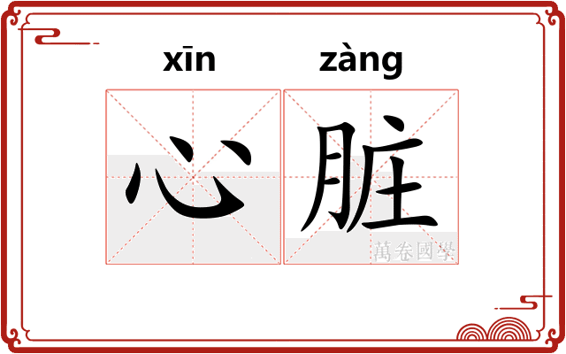 心脏