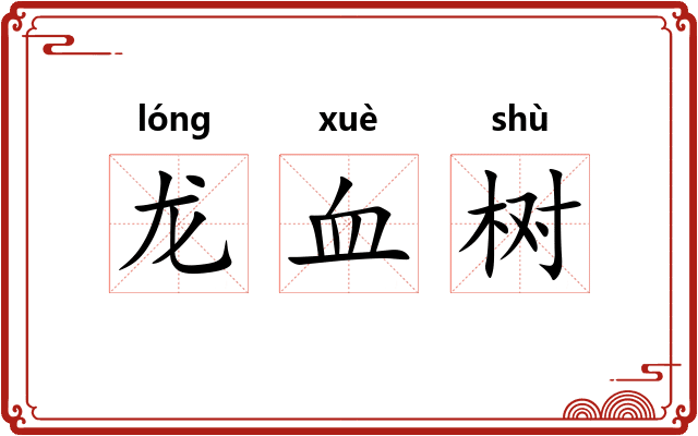 龙血树