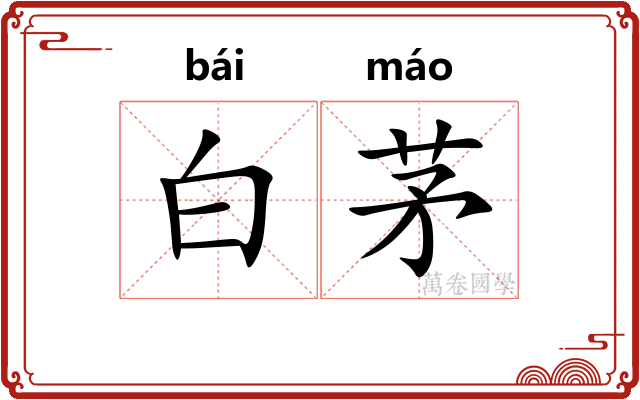 白茅