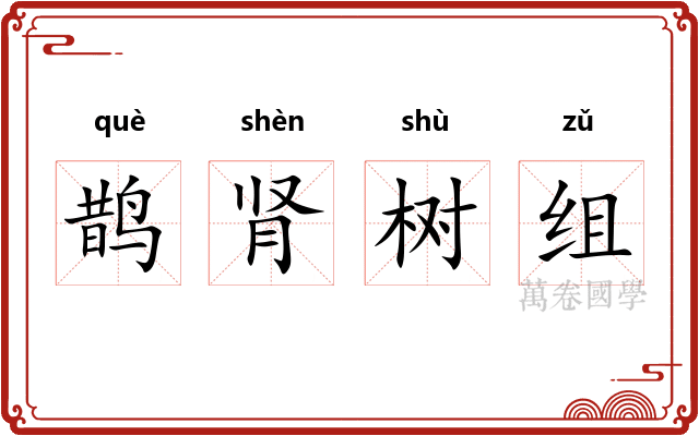 鹊肾树组