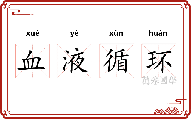 血液循环