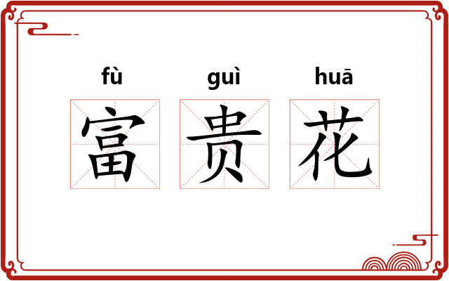 富贵花 富贵花