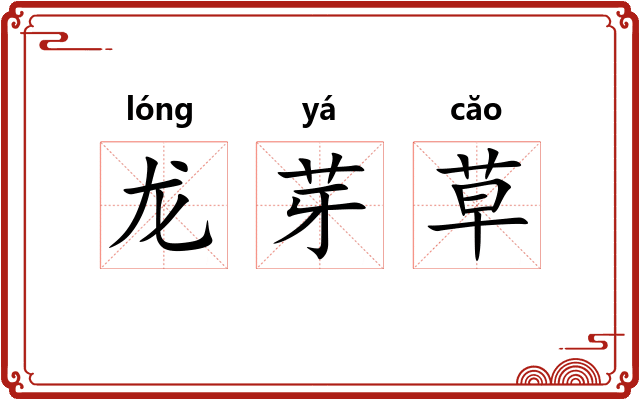 龙芽草