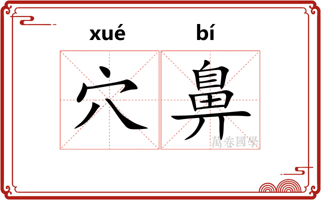 穴鼻