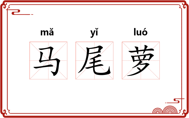 马尾萝