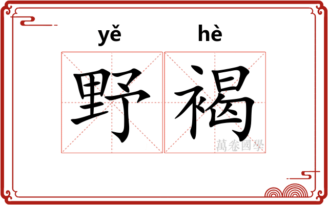 野褐 野褐