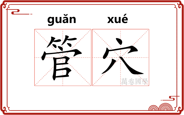 管穴