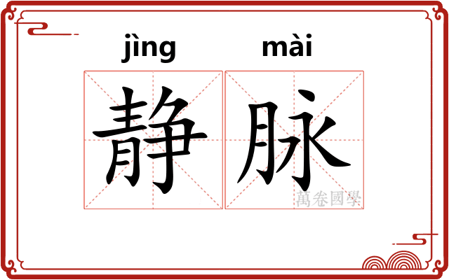 静脉