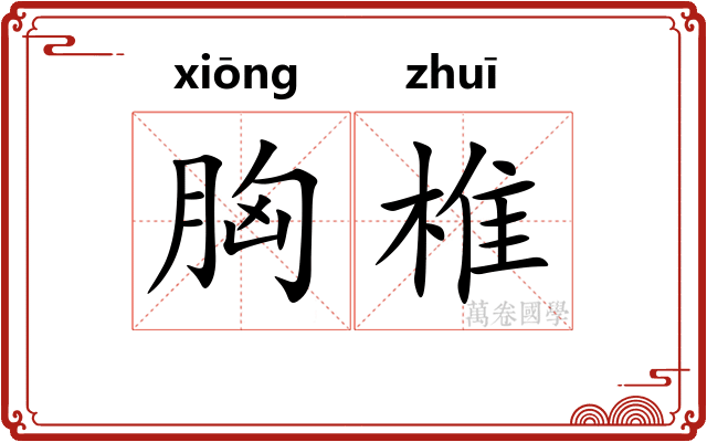 胸椎