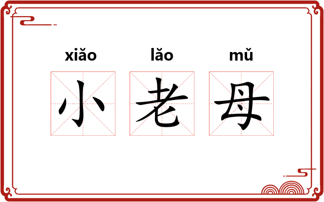 小老母