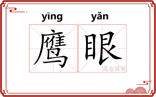鹰眼