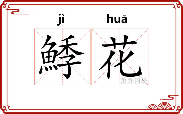鯚花