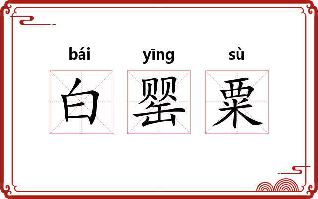 白罂粟