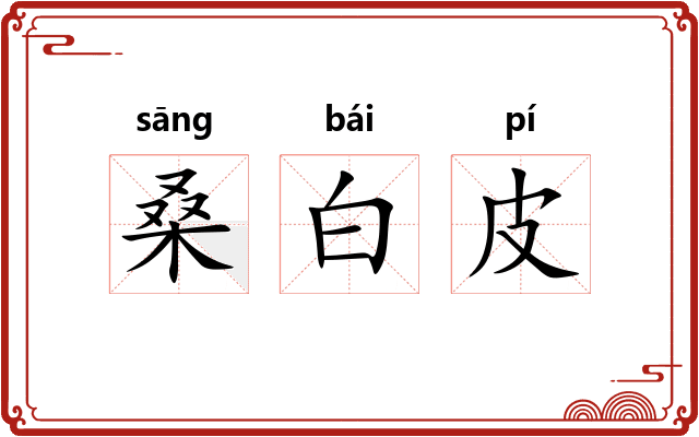 桑白皮