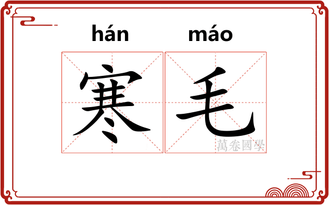 寒毛 寒毛