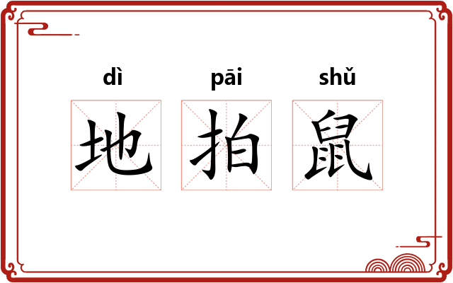 地拍鼠