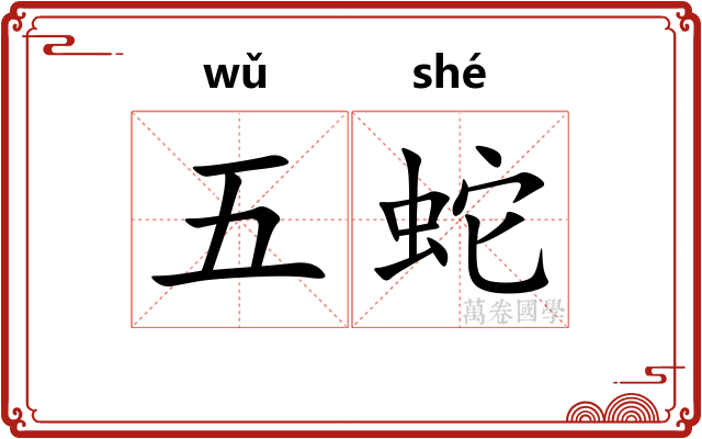 五蛇