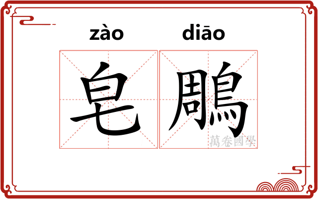 皂鵰
