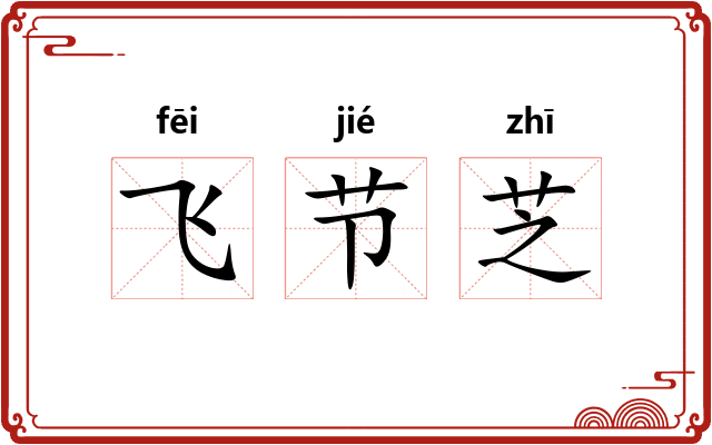 飞节芝
