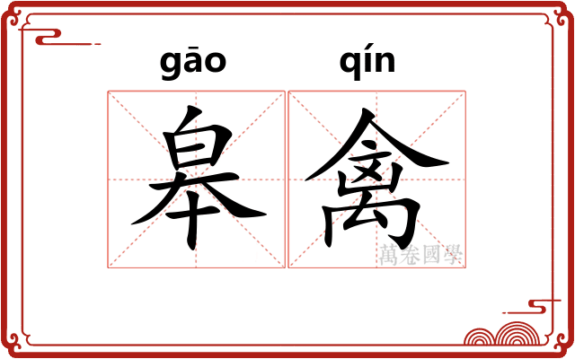 皋禽