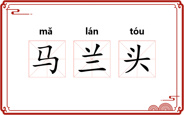 马兰头 马兰头