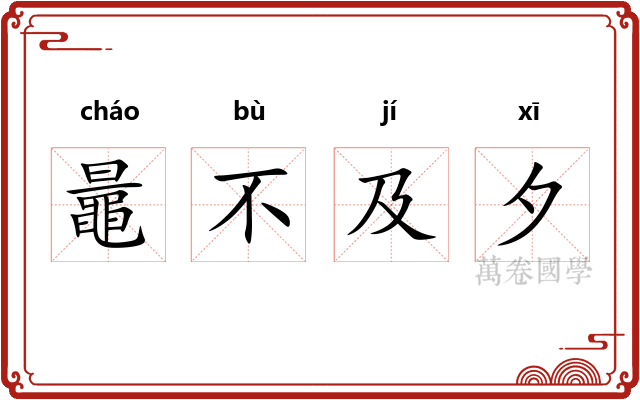 鼂不及夕