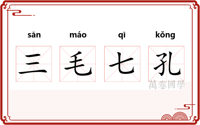 三毛七孔 三毛七孔