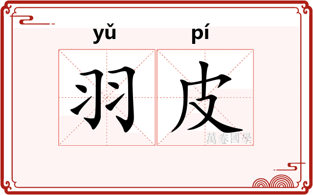 羽皮
