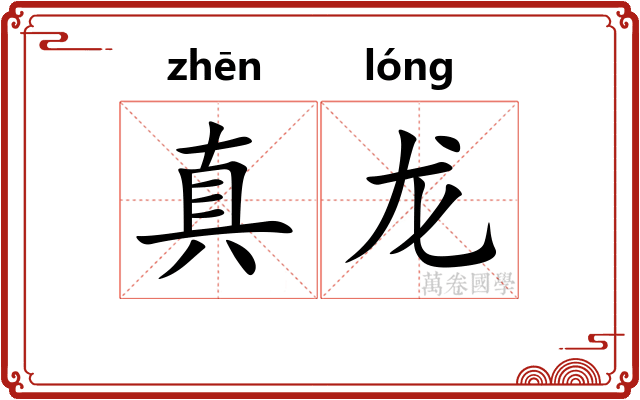 真龙 真龙