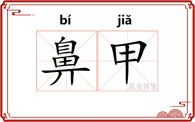 鼻甲