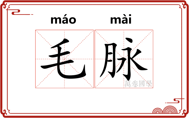 毛脉 毛脉