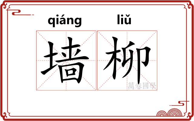 墙柳