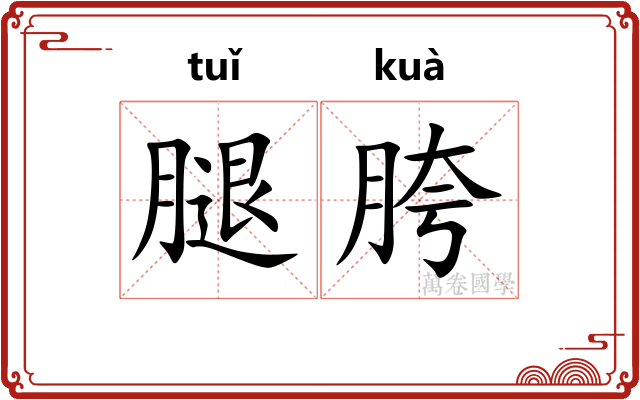 腿胯