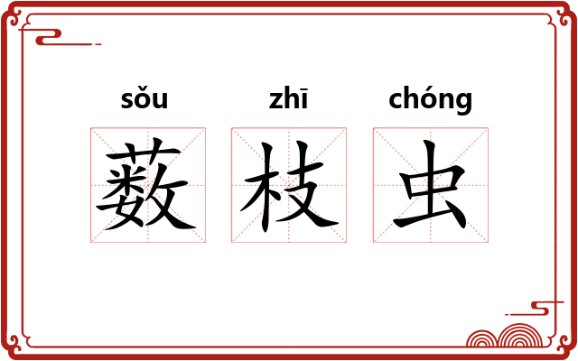 薮枝虫