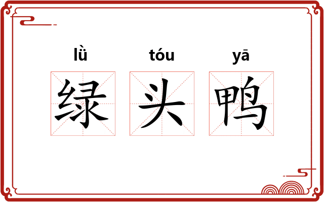 绿头鸭 绿头鸭