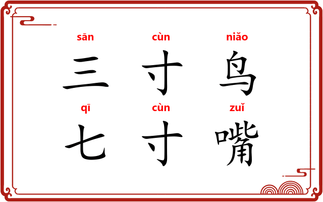 三寸鸟,七寸嘴 三寸鸟,七寸嘴