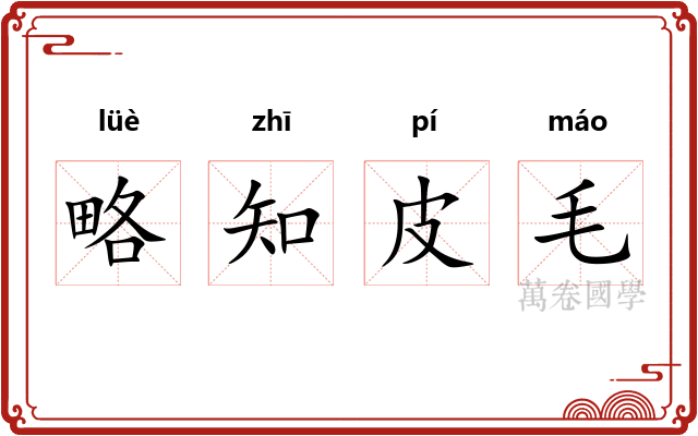 略知皮毛 略知皮毛