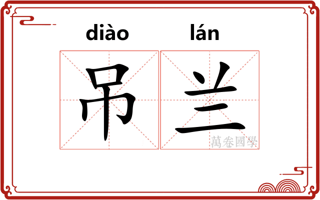 吊兰